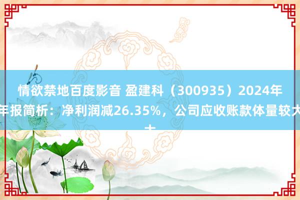 情欲禁地百度影音 盈建科（300935）2024年年报简析：净利润减26.35%，公司应收账款体量较大