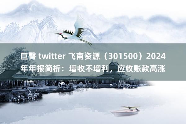 巨臀 twitter 飞南资源（301500）2024年年报简析：增收不增利，应收账款高涨