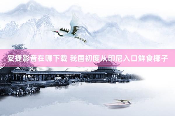 安捷影音在哪下载 我国初度从印尼入口鲜食椰子