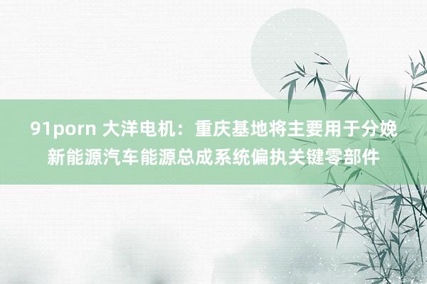 91porn 大洋电机：重庆基地将主要用于分娩新能源汽车能源总成系统偏执关键零部件