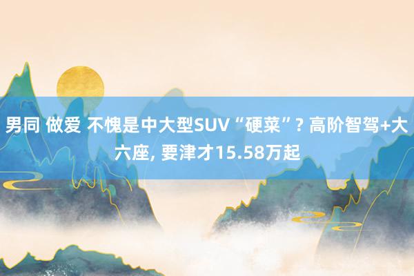 男同 做爱 不愧是中大型SUV“硬菜”? 高阶智驾+大六座, 要津才15.58万起