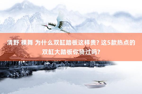 清野 裸舞 为什么双缸踏板这样贵? 这5款热点的双缸大踏板你骑过吗?