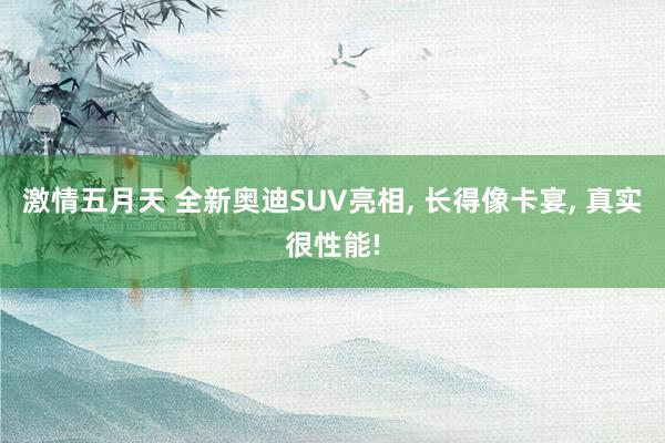激情五月天 全新奥迪SUV亮相, 长得像卡宴, 真实很性能!