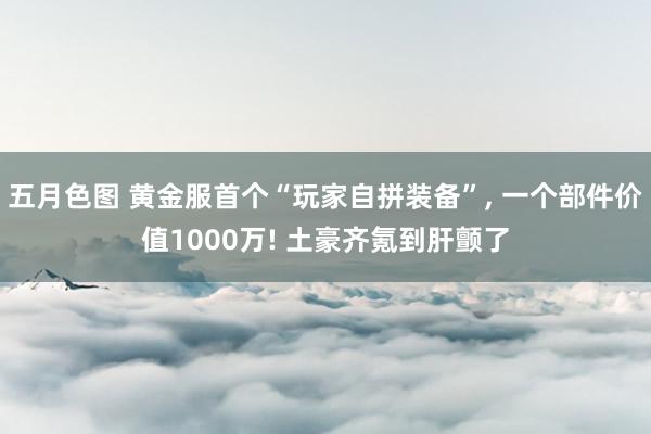 五月色图 黄金服首个“玩家自拼装备”, 一个部件价值1000万! 土豪齐氪到肝颤了