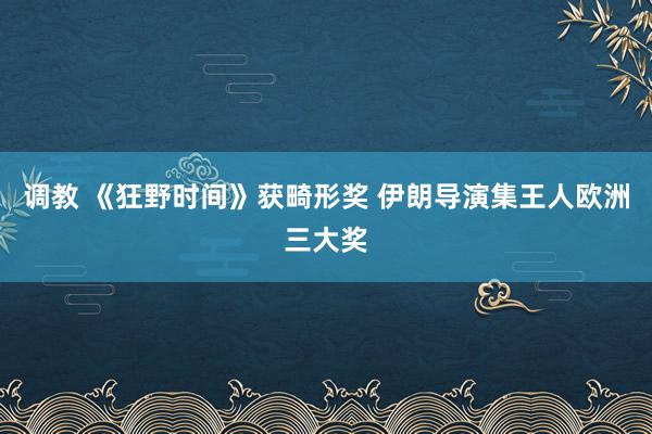 调教 《狂野时间》获畸形奖 伊朗导演集王人欧洲三大奖