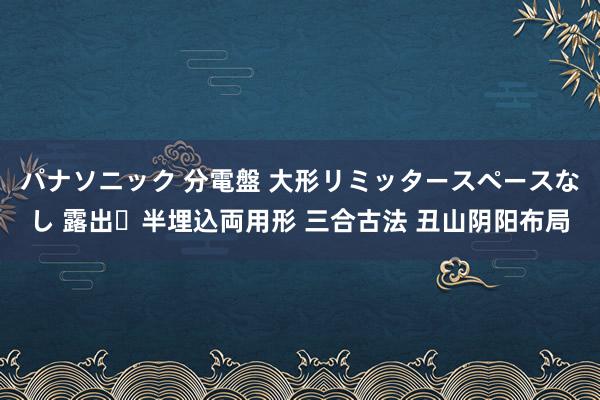 パナソニック 分電盤 大形リミッタースペースなし 露出・半埋込両用形 三合古法 丑山阴阳布局