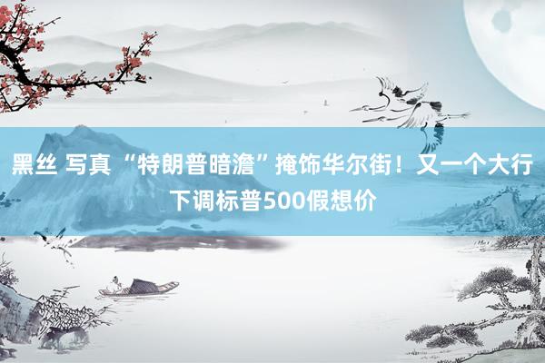 黑丝 写真 “特朗普暗澹”掩饰华尔街！又一个大行下调标普500假想价