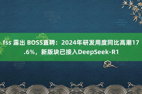 fss 露出 BOSS直聘：2024年研发用度同比高潮17.6%，新版块已接入DeepSeek-R1