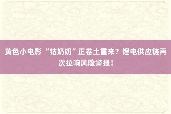 黄色小电影 “钴奶奶”正卷土重来？锂电供应链再次拉响风险警报！