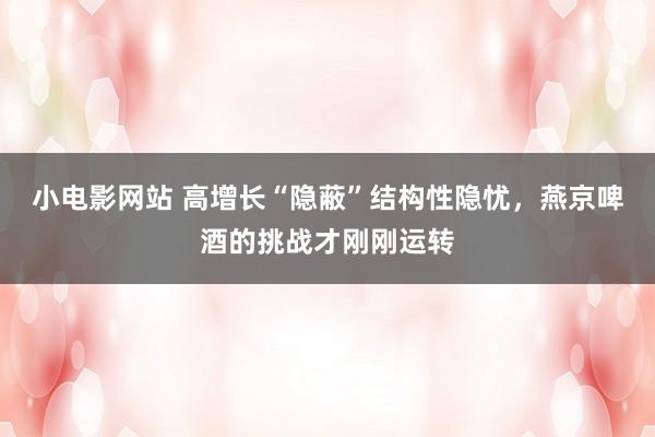 小电影网站 高增长“隐蔽”结构性隐忧，燕京啤酒的挑战才刚刚运转