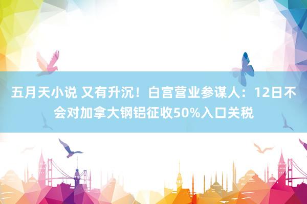五月天小说 又有升沉！白宫营业参谋人：12日不会对加拿大钢铝征收50%入口关税