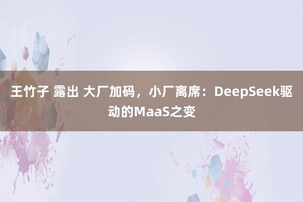 王竹子 露出 大厂加码，小厂离席：DeepSeek驱动的MaaS之变